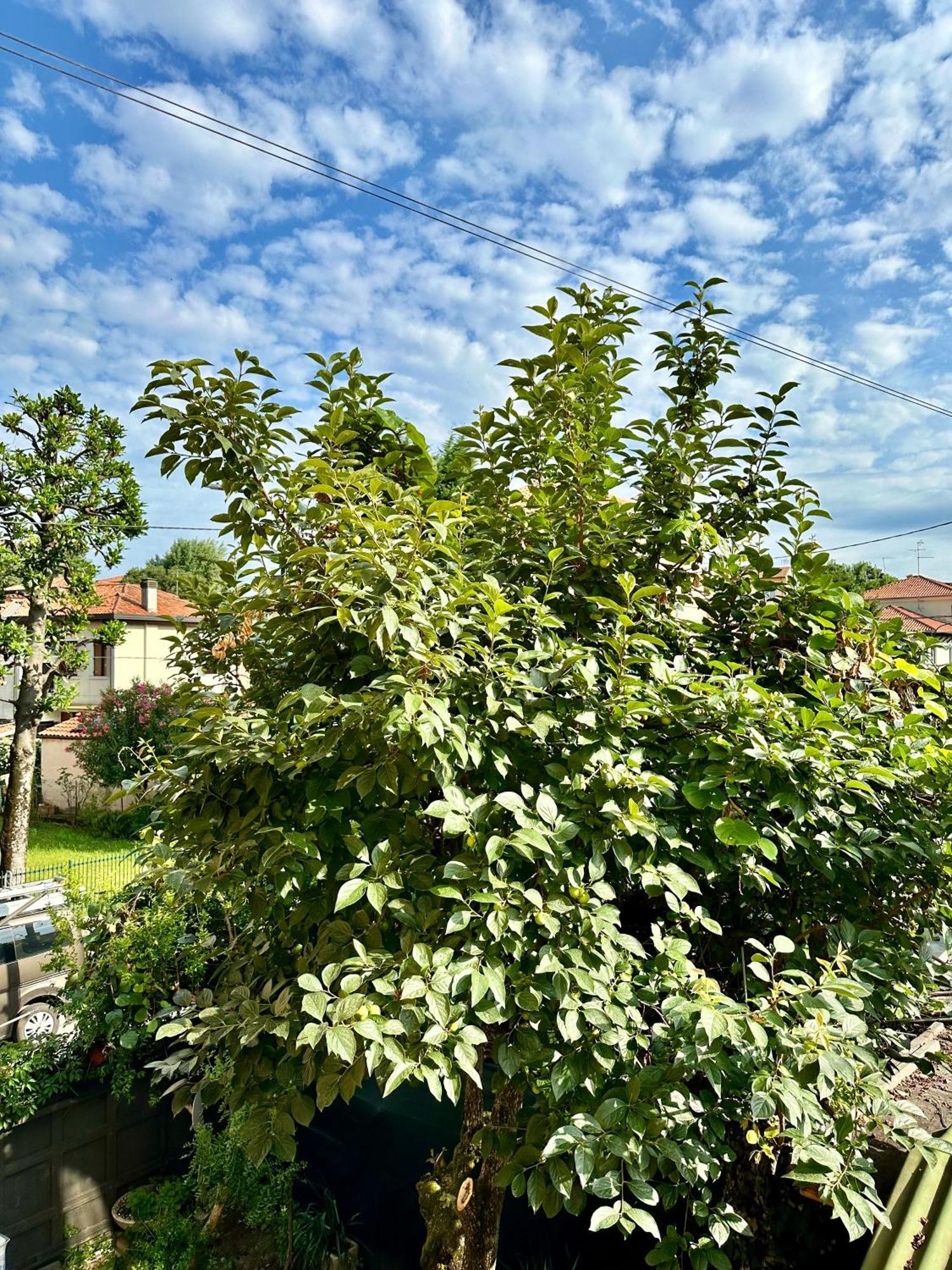 Apartament Casa Clara Marghera Zewnętrze zdjęcie
